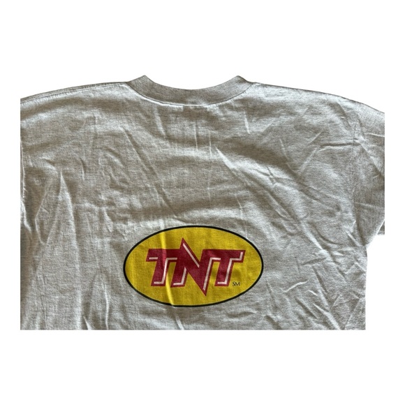 Tee-rific The Killer Angels TNT VINTAGE Shirt Men size Large L Civil War Gray - Picture 6 of 8